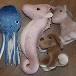 Trilobit * بيرون