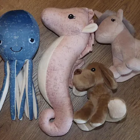 Trilobit * Beroun (Central Bohemian)