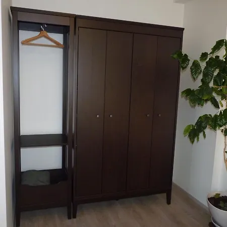 Trilobit * Beroun (Central Bohemian)